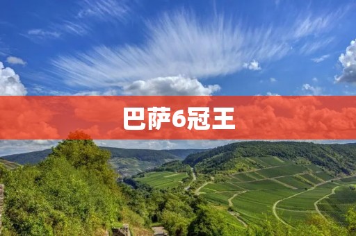 巴萨6冠王：世界足坛的辉煌之路