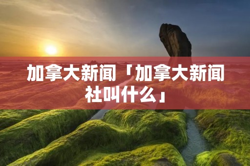 加拿大新闻「加拿大新闻社叫什么」