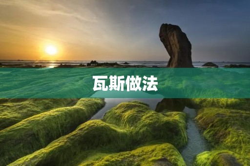 瓦斯做法:用瓦斯烹饪美食的技巧与注意事项 瓦斯做法:用瓦斯烹饪美食的技巧与注意事项