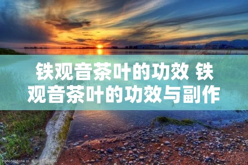 铁观音茶叶的功效 铁观音茶叶的功效与副作用
