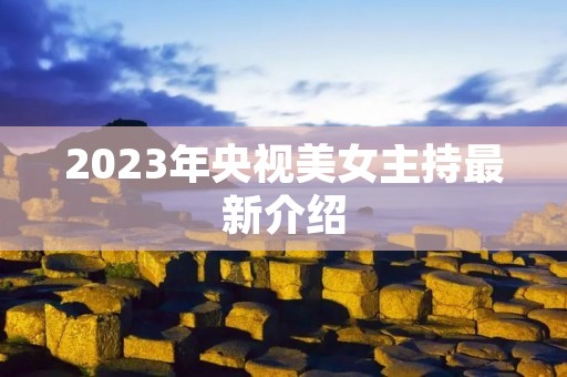 2023年央视美女主持最新介绍