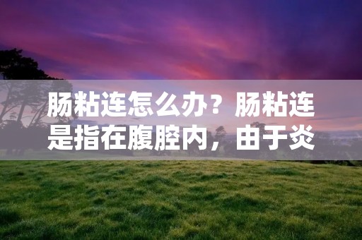 肠粘连怎么办?肠粘连是指在腹腔内,由于炎症、手术或外伤等因素导致肠管与相邻组织或器官黏连在一起。肠粘连是比较常见的疾病,它会给患者带来很多不便和痛苦。那么,我们该如何应对肠粘连呢?下面,我们来详细介绍。 肠粘连怎么办?肠粘连是指在腹腔内,由于炎症、手术或外伤等因素导致肠管与相邻组织或器官黏连在一起。肠粘连是比较常见的疾病,它会给患者带来很多不便和痛苦。那么,我们该如何应对肠粘连呢?下面,我们来详细介绍。