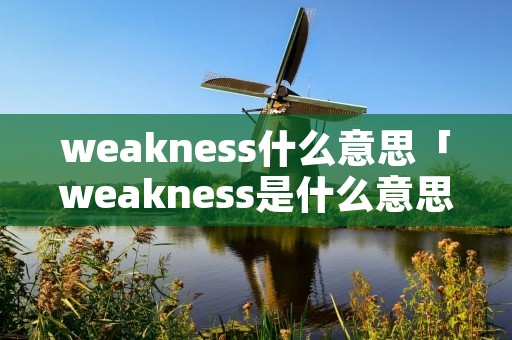 weakness什么意思「weakness是什么意思中文」