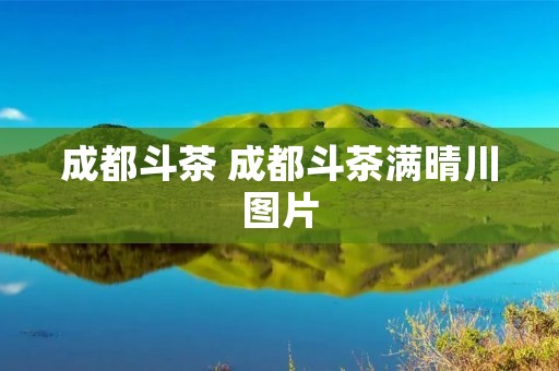 成都斗茶 成都斗茶满晴川图片