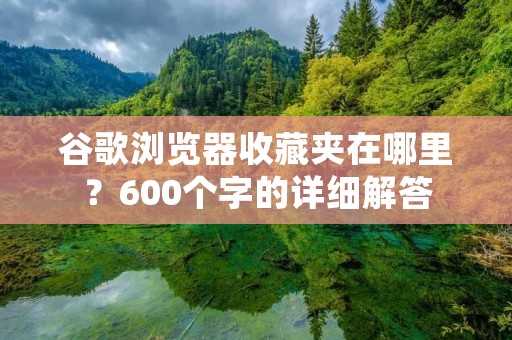 谷歌浏览器收藏夹在哪里？600个字的详细解答