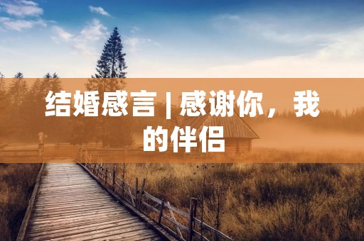 结婚感言 | 感谢你,我的伴侣 结婚感言 | 感谢你,我的伴侣