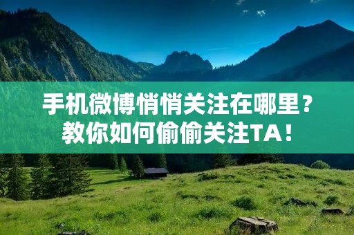 手机微博悄悄关注在哪里？教你如何偷偷关注TA！