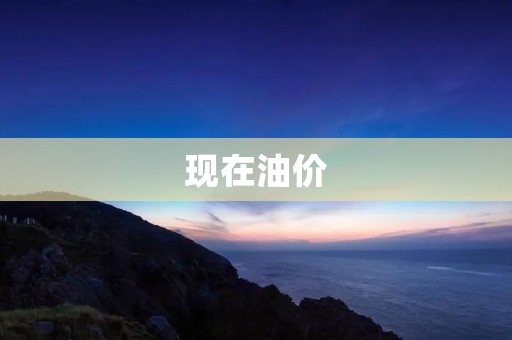 现在油价:是市场供需的结果还是政治因素的影响? 现在油价:是市场供需的结果还是政治因素的影响?