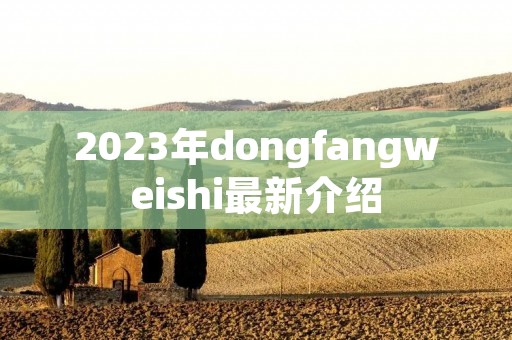 2023年dongfangweishi最新介绍