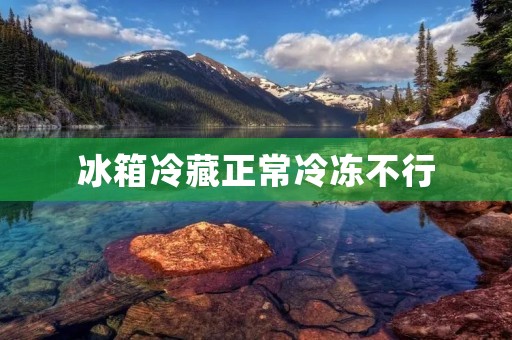 冰箱冷藏正常冷冻不行:如何解决?
