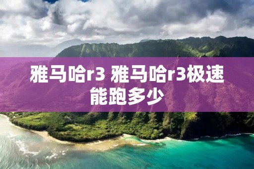 雅马哈r3 雅马哈r3极速能跑多少