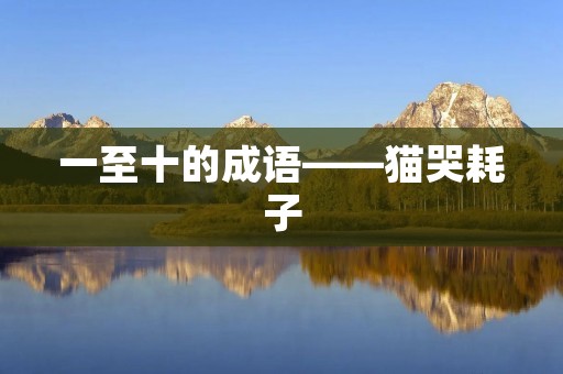 一至十的成语——猫哭耗子