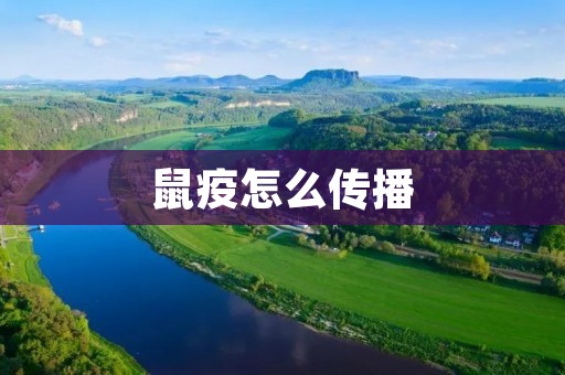 鼠疫怎么传播:从历史到现在 鼠疫怎么传播:从历史到现在