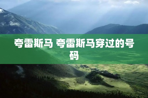 夸雷斯马 夸雷斯马穿过的号码