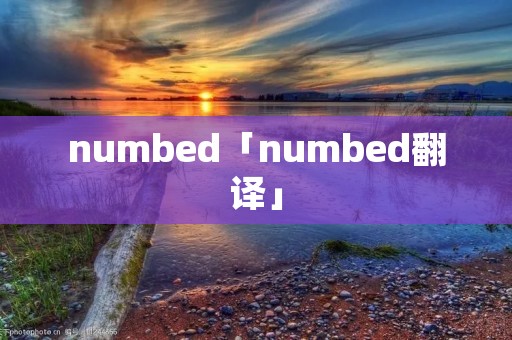 numbed「numbed翻译」