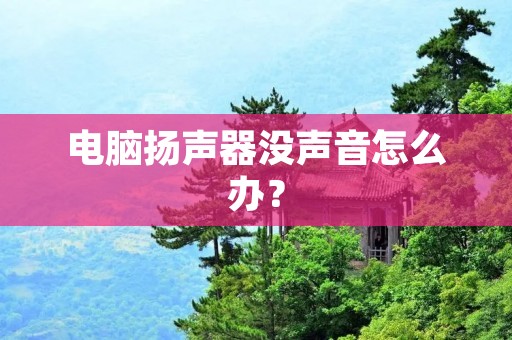 电脑扬声器没声音怎么办?