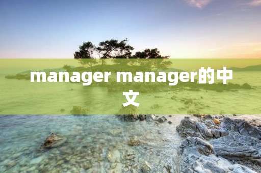 manager manager的中文