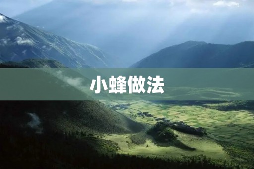小蜂做法:健康美味的低卡零食 小蜂做法:健康美味的低卡零食