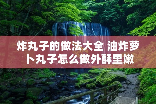 炸丸子的做法大全 油炸萝卜丸子怎么做外酥里嫩
