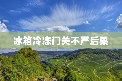 冰箱冷冻门关不严后果:教你如何避免食品损失和能源浪费