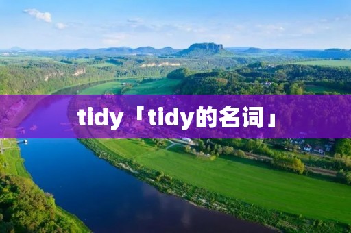 tidy「tidy的名词」 tidy「tidy的名词」
