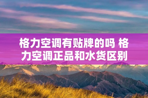 格力空调有贴牌的吗 格力空调正品和水货区别
