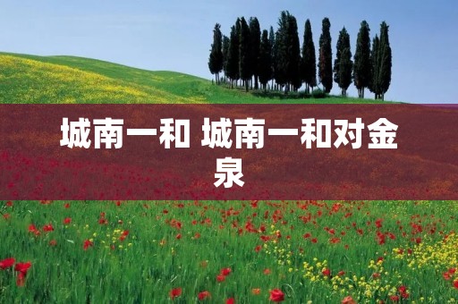 城南一和 城南一和对金泉
