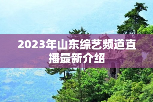 2023年山东综艺频道直播最新介绍