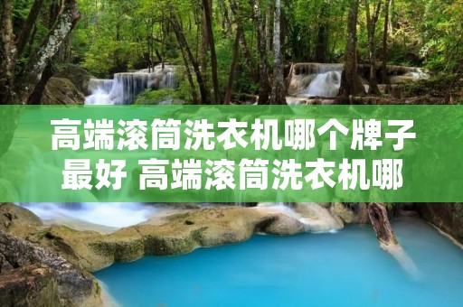 高端滚筒洗衣机哪个牌子最好 高端滚筒洗衣机哪个牌子最好用