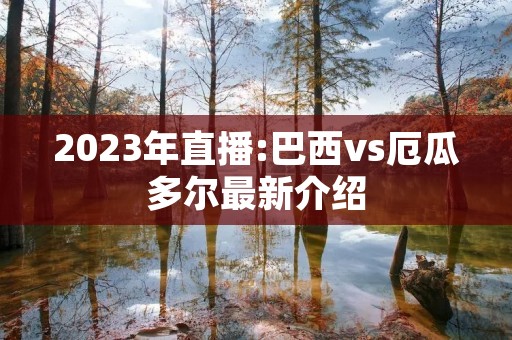 2023年直播:巴西vs厄瓜多尔最新介绍