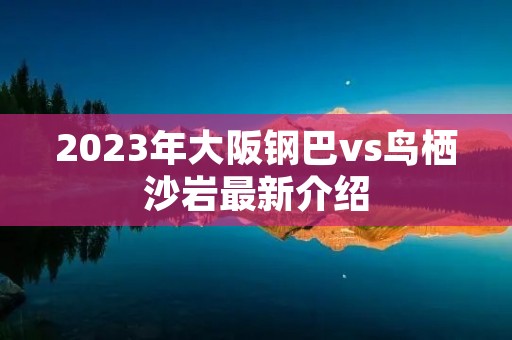 2023年大阪钢巴vs鸟栖沙岩最新介绍