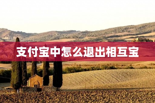 支付宝中怎么退出相互宝