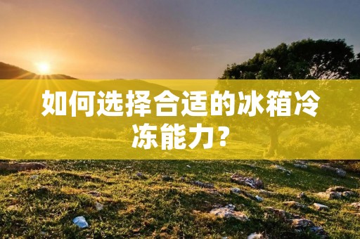 如何选择合适的冰箱冷冻能力?