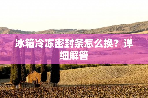 冰箱冷冻密封条怎么换？详细解答