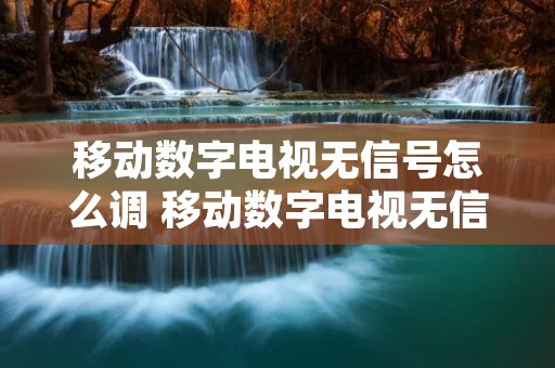 移动数字电视无信号怎么调 移动数字电视无信号怎么调回来