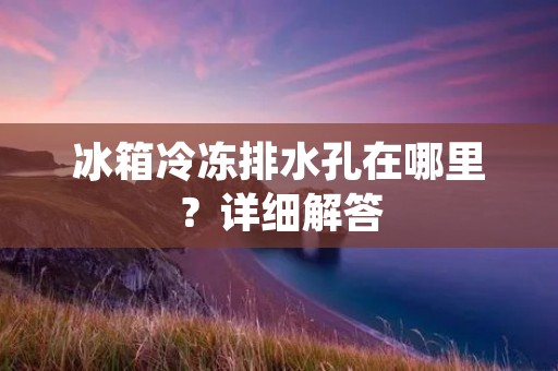 冰箱冷冻排水孔在哪里?详细解答 冰箱冷冻排水孔在哪里?详细解答