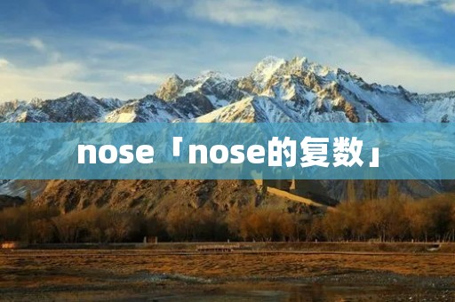 nose「nose的复数」