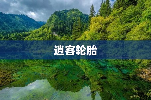 逍客轮胎:为你的驾驶保驾护航 逍客轮胎:为你的驾驶保驾护航