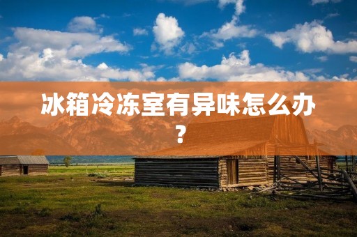 冰箱冷冻室有异味怎么办? 冰箱冷冻室有异味怎么办?