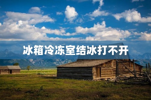 冰箱冷冻室结冰打不开
