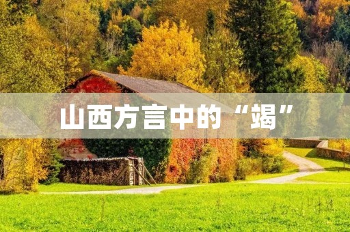 山西方言中的“竭”:听说你不会说“姐儿竭”? 山西方言中的“竭”:听说你不会说“姐儿竭”?