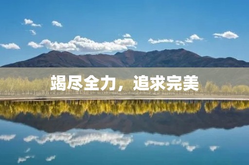 竭尽全力,追求完美 竭尽全力,追求完美