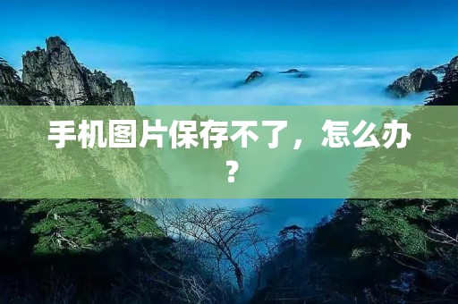 手机图片保存不了,怎么办?