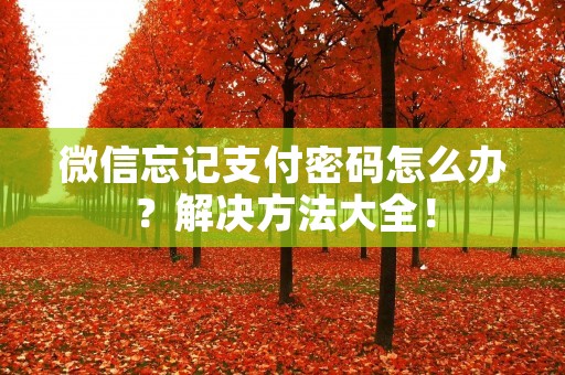 微信忘记支付密码怎么办?解决方法大全!