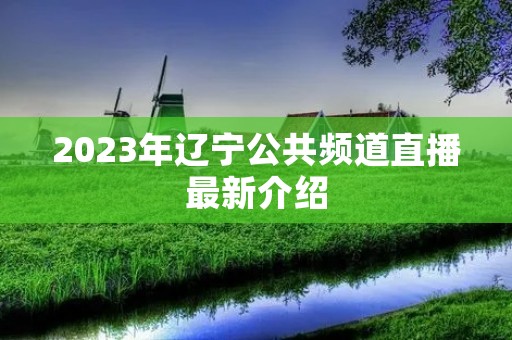 2023年辽宁公共频道直播最新介绍