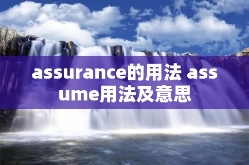 assurance的用法 assume用法及意思