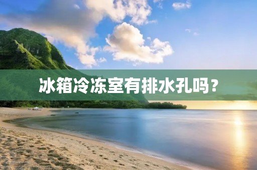 冰箱冷冻室有排水孔吗？