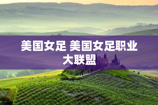 美国女足 美国女足职业大联盟