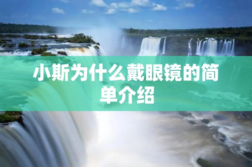 小斯为什么戴眼镜的简单介绍 小斯为什么戴眼镜的简单介绍