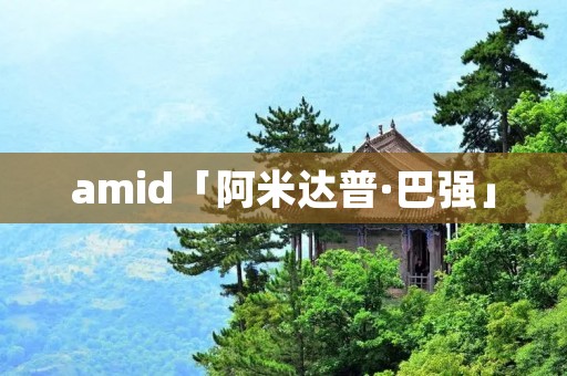 amid「阿米达普·巴强」